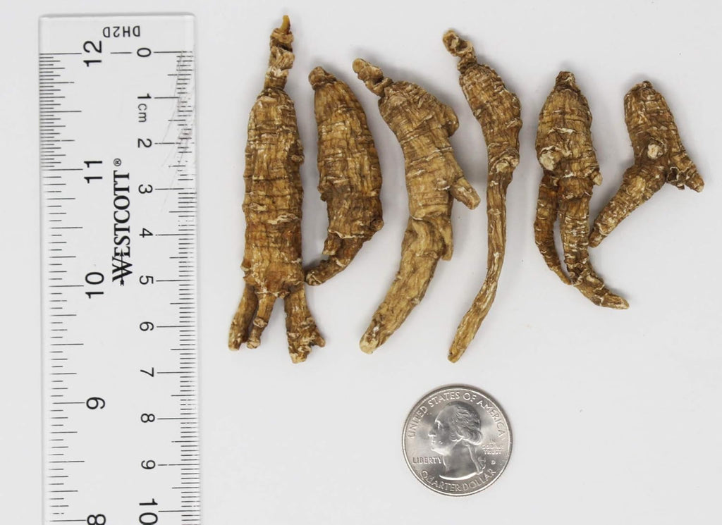 8OZ=227gm/box American Ginseng,Hand-Selected Wisconsin Farmed Ginseng Root | Long Small |美国威斯康辛州 长枝西洋参 花旗参 礼盒装 |Cultivated Wisconsin American Ginseng WI 063# Box