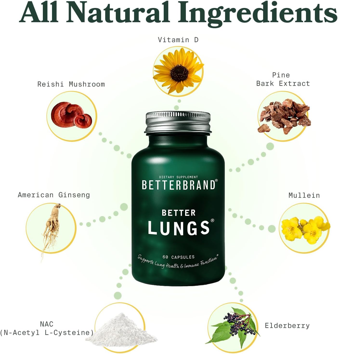 Betterbrand BetterLungs Daily Respiratory Health Supplement (60 Capsules) | with Vitamin D, Elderberry, Ginseng, Mullein, and Reishi Mushroom | for Lung Health and Allergy Relief (Pack of 2)