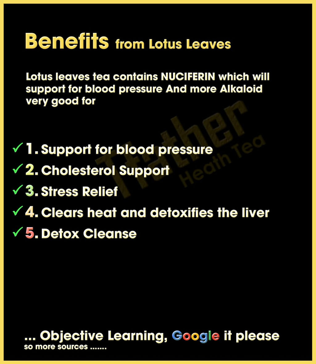 Fermented Lotus Leaf Tea Bags – Lower Blood Pressure, Reduce Cholesterol & Detox Cleanse – Flavor Balance of Nectar & Meatiness - Herbal Loose Leaf Tea Bag in Pyramid with Dipping String