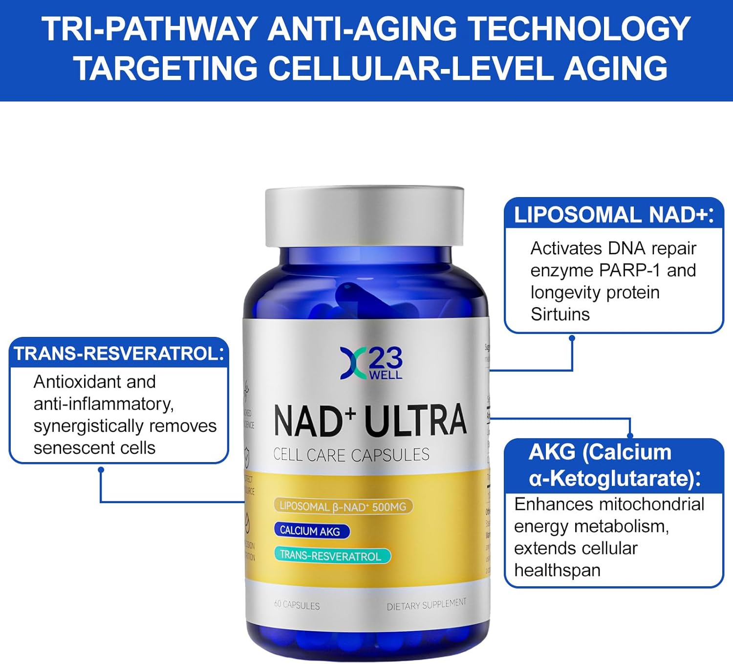 NAD+ Ultra Cell Care Capsules with Liposomal NAD+ Calcium Alpha Ketoglutarate & Trans-resveratrol for Energy Focus Healthy Aging 60 Capsules Supplement