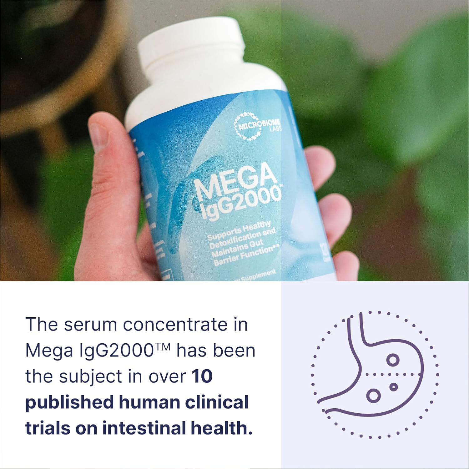 Microbiome Labs Mega IgG2000 Capsules - Dairy Free Bovine Colostrum Supplement Alternative - Immunoglobulin Supplement from Bovine Serum to Support Digestive Health (120 Capsules)