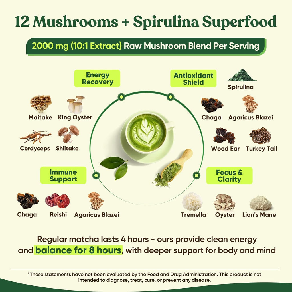 Venture Pal 12 Mushroom Matcha Powder – Mushroom Coffee Alternative with Lion’s Mane & Chaga + 1.5B Probiotics & L-Theanine, First Harvest Ceremonial Green Tea for Better Focus & Energy, 30 Servings