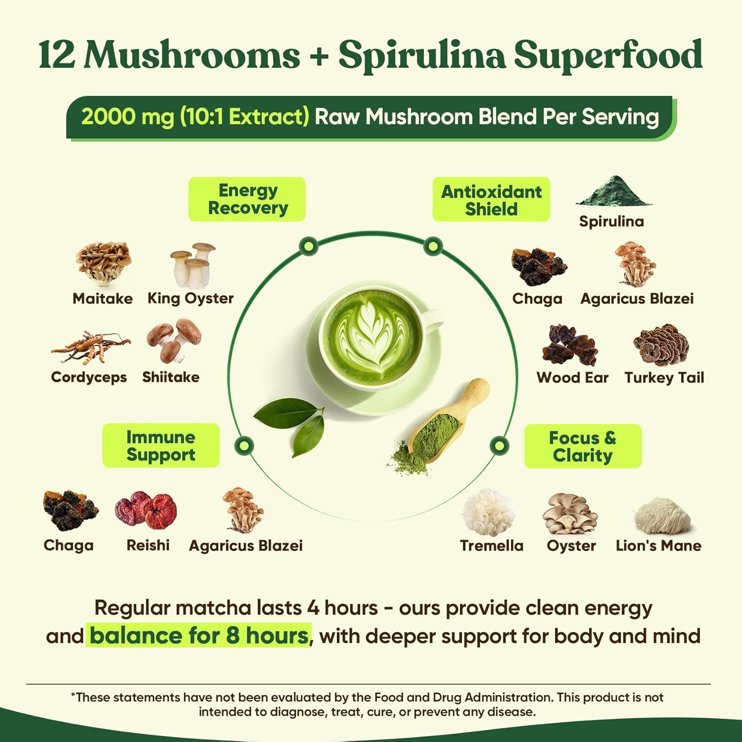 Venture Pal 12 Mushroom Matcha Powder – Mushroom Coffee Alternative with Lion’s Mane & Chaga + 1.5B Probiotics & L-Theanine, First Harvest Ceremonial Green Tea for Better Focus & Energy, 30 Servings