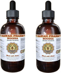 Hoodia Liquid Extract, Hoodia (Hoodia Gordonii) Tincture Supplement 2x4 oz