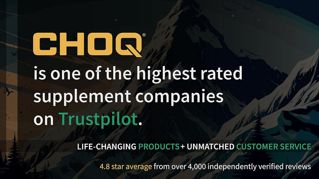 CHOQ Armor - Vegan Capsules - Professional-Grade Immune Defense - 20x Absorption Quercetin Phytosome - Andrographis - Astragalus - Supports Healthy Histamine Levels