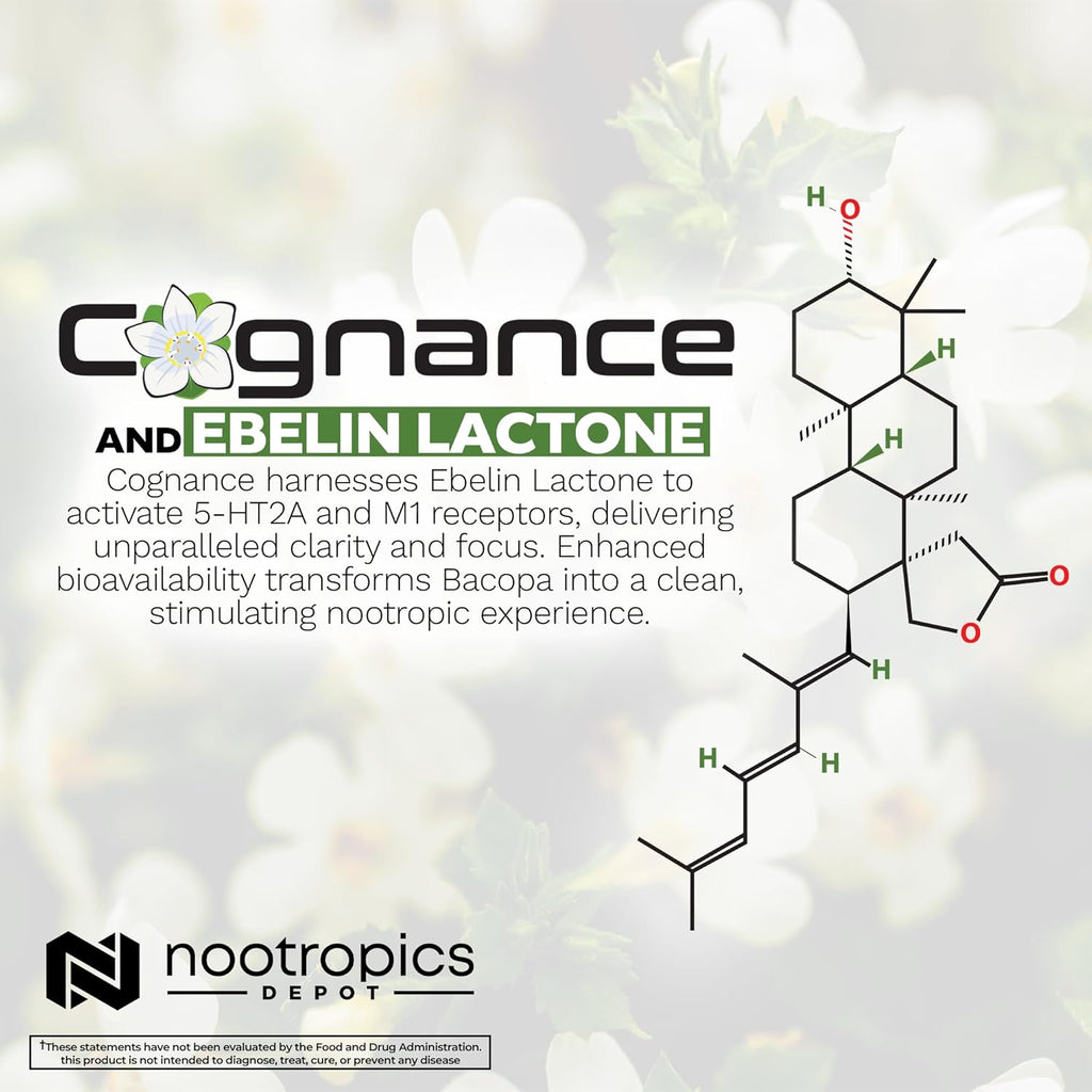 Nootropics Depot Cognance Enhanced Bacopa Capsules | 100mg | 10% Ebelin Lactone | Bacopa monnieri | Mood, Memory, & 5-HT2A Activation, 180 Count (Pack of 1)