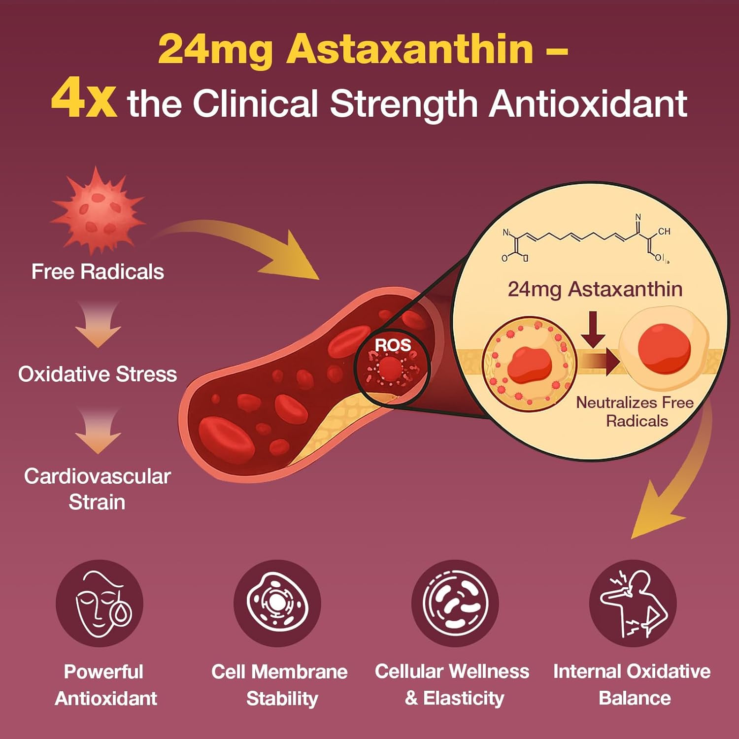 Liposomal Red Yeast Rice 1200mg with CoQ10 & Astaxanthin – Extra Strength Cholesterol, Cardiovascular & Metabolic Support – High Absorption – Citrinin-Free, 120 Softgels (2 Bottle)
