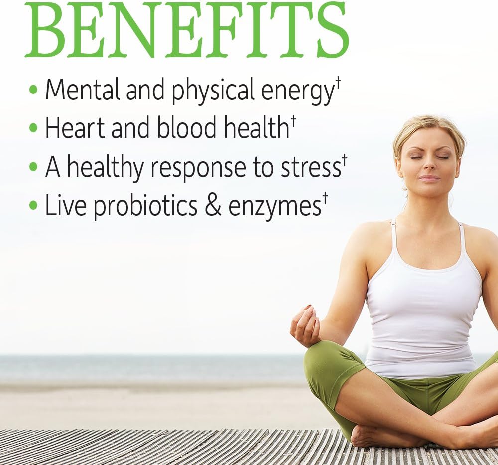 Garden of Life Vitamin B Complex, 120 Vegan Capsules, High Potency Vitamins for Energy & Metabolism with B6, Folate & B12 as Methylcobalamin Plus Probiotics