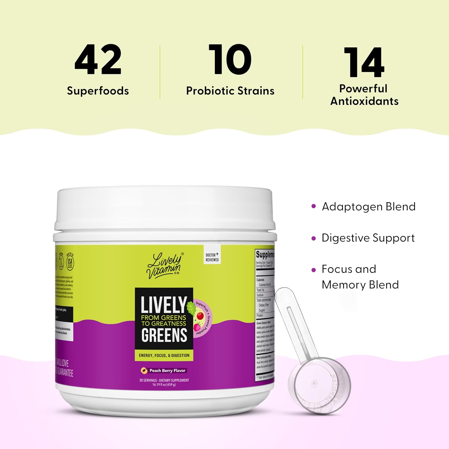 LIVELY VITAMIN CO Lively Greens w/Reds - 42 Superfood Ingredients - Memory, Focus, Mood, Digestion & Energy - Brain, Immune, Digestive & Heart Health - Bloating - Probiotics - Adaptogens - 16.19oz