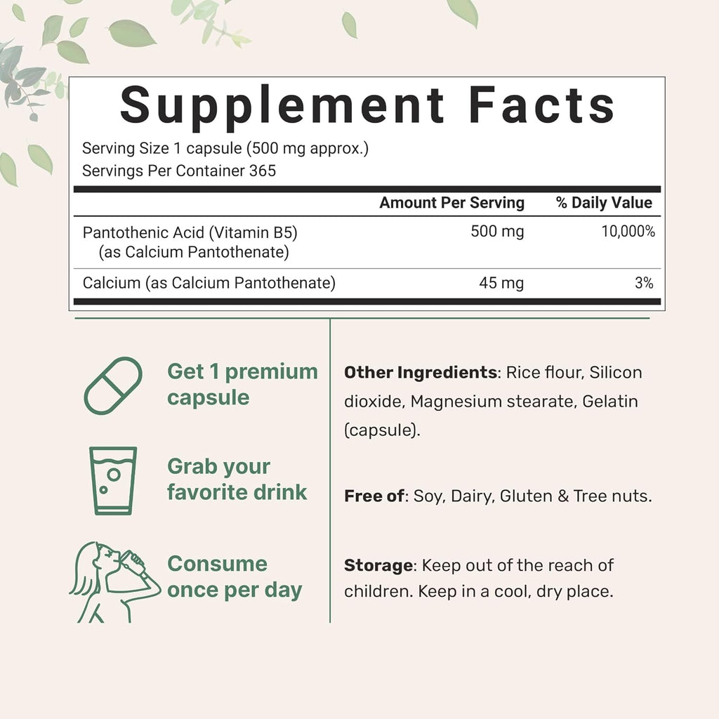 Micro Ingredients Pantothenic Acid Vitamin B5 Supplement, Vitamin B5 500mg Per Count, 365 Capsules (1 Year Supply), B-Complex Vitamin, Support Energy Production and Nervous System, Non-GMO