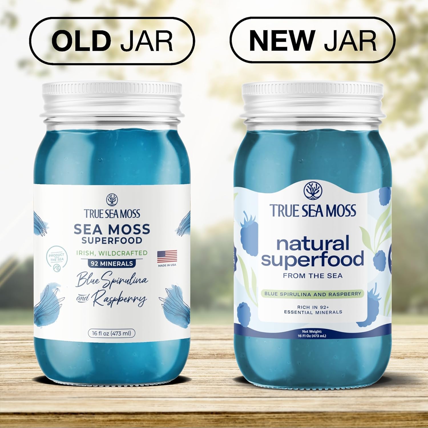 TrueSeaMoss Sea Moss Gel – Made in USA – Wildcrafted Seamoss, Fresh Fruits & Sea Vegetables – Blue Spirulina, Pack of 1 (Labels may Vary)