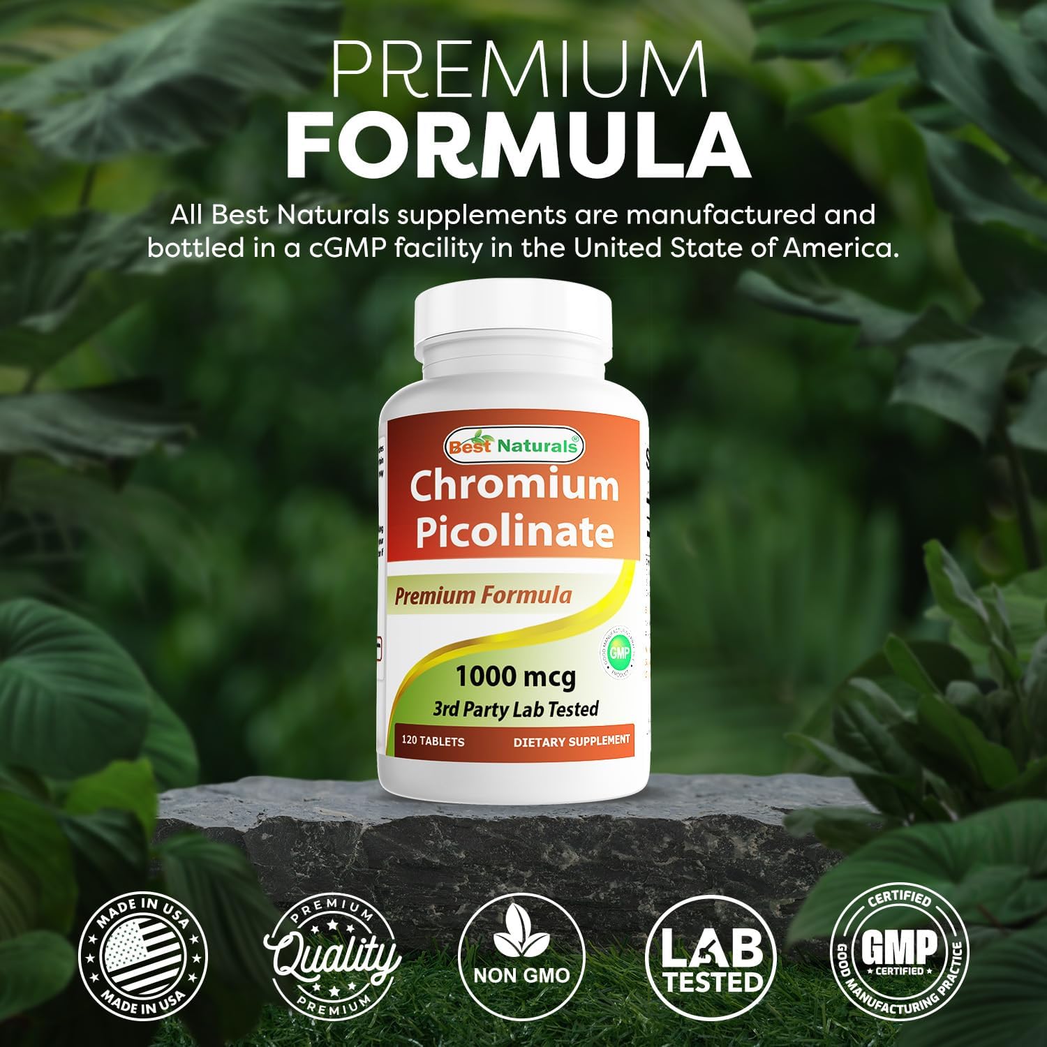 Best Naturals Chromium Picolinate 1000 mcg 120 Tablets (Pack of 2)