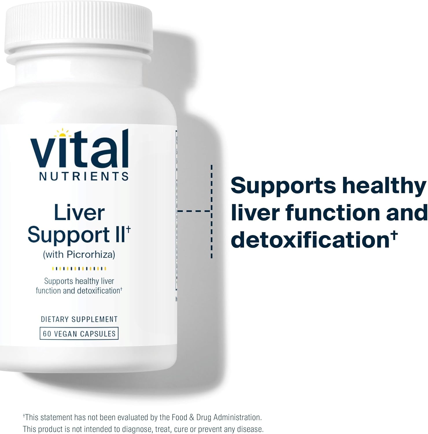 Vital Nutrients Liver Support II with Picrorhiza, Milk Thistle and Curcumin | Vegan Supplement | Herbal Combination to Support Healthy Liver Function* | Gluten, Dairy and Soy Free | 60 Capsules