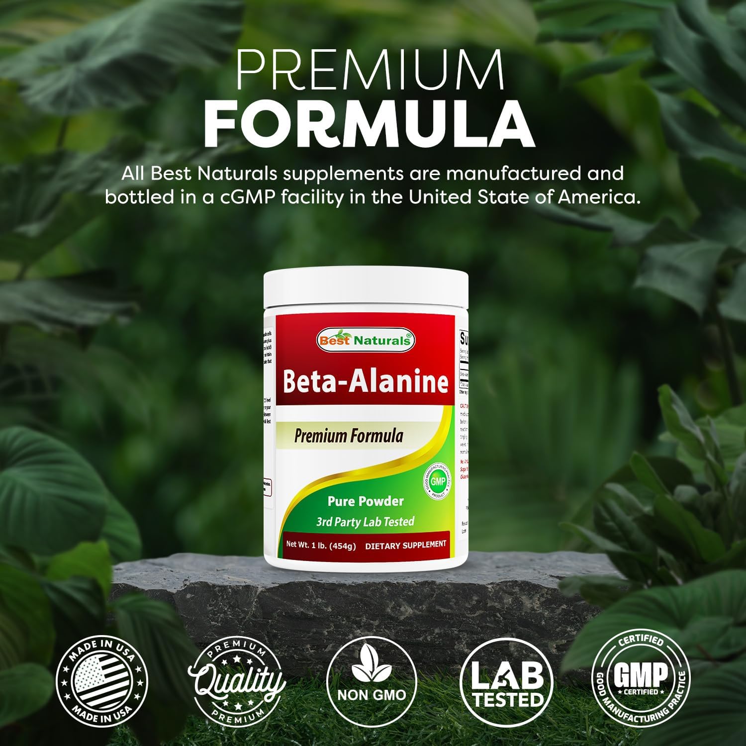 Best Naturals Beta Alanine Pure Powder 1 Pound (1 LB (Pack of 3))