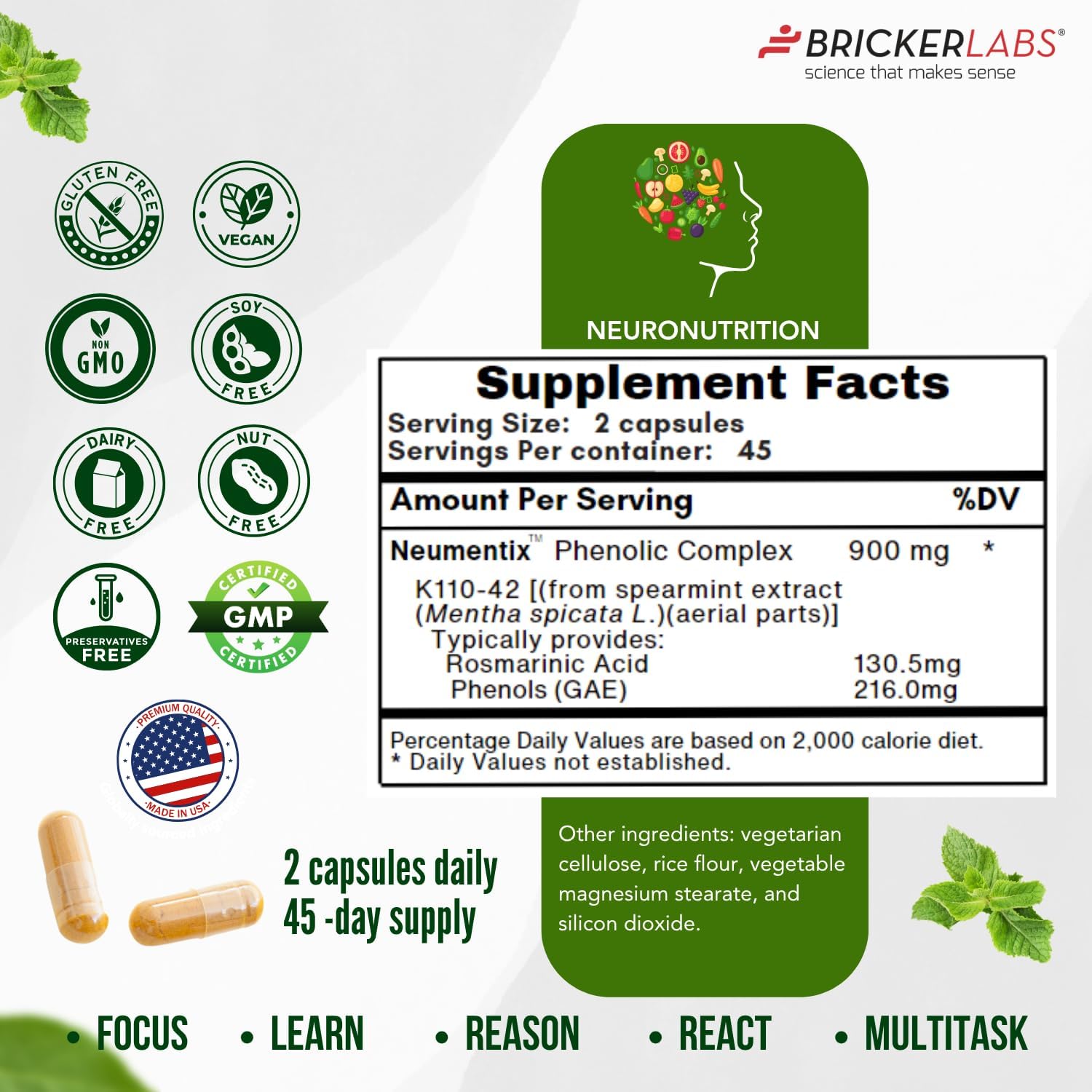 Brain Aid Memory Matters – Nootropic Brain Supplement with Neumentix Spearmint Extract for Cognitive Support, Focus, Concentration, and Memory – 90 Capsules