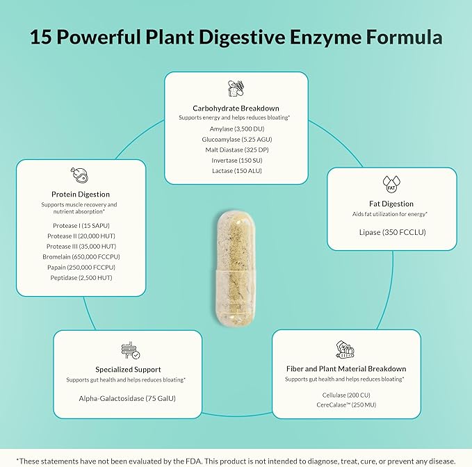 Natural Wellness Digestive Enzymes – Comprehensive Enzyme Blend for Healthy Digestion, Nutrient Absorption & Relief from Gas, Bloating & Indigestion – 60 Vegetarian Capsules