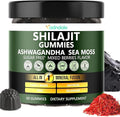 Adndale Himalayan Natural Shilajit Gummies for Men & Women, Sugar-Free Mixed Berries Flavor - with Ashwagandha, Sea Moss, Lion’s Mane & Saffron + Zinc & Selenium - 90 Gummies (45 Servings)