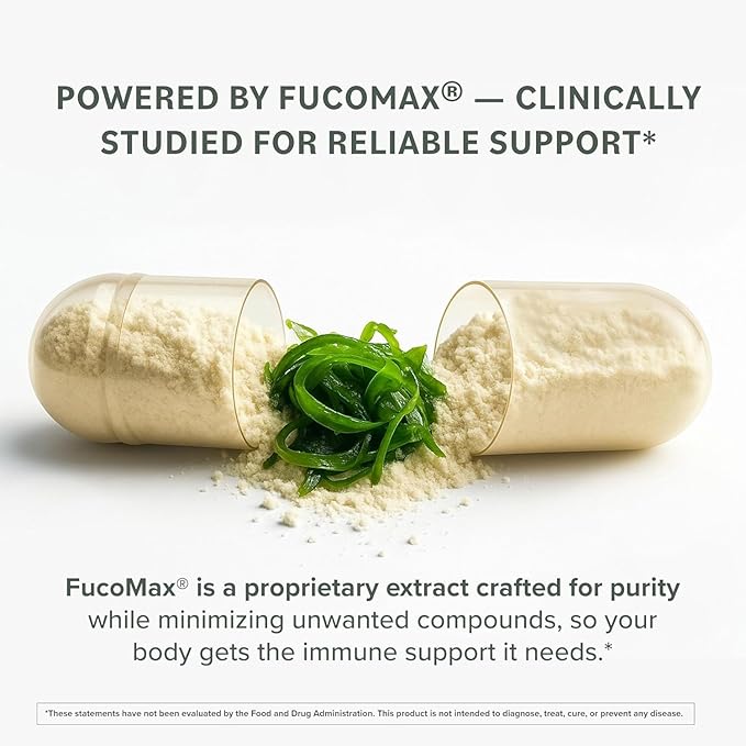 Prominent Nutrition Fucoidan Gut Health & Immune Support Supplement – 250mg, 60 Count – Premium Brown Seaweed Extract - Immune System & Digestion Supplement - 1 Pack