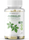 TerraForm Nutrition Gynostemma Pentaphyllum Supplement - 600mg per Capsule - 98% Gypenoside Extract (20:1) - Jiaogulan - 60 Capsules - Adaptogenic Herbal Supplement