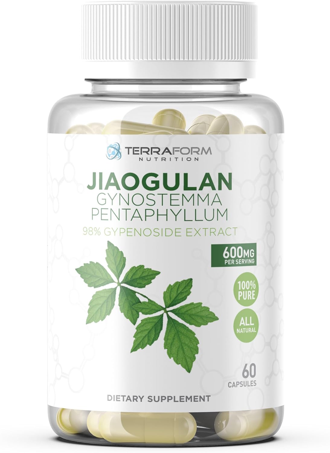 TerraForm Nutrition Gynostemma Pentaphyllum Supplement - 600mg per Capsule - 98% Gypenoside Extract (20:1) - Jiaogulan - 60 Capsules - Adaptogenic Herbal Supplement
