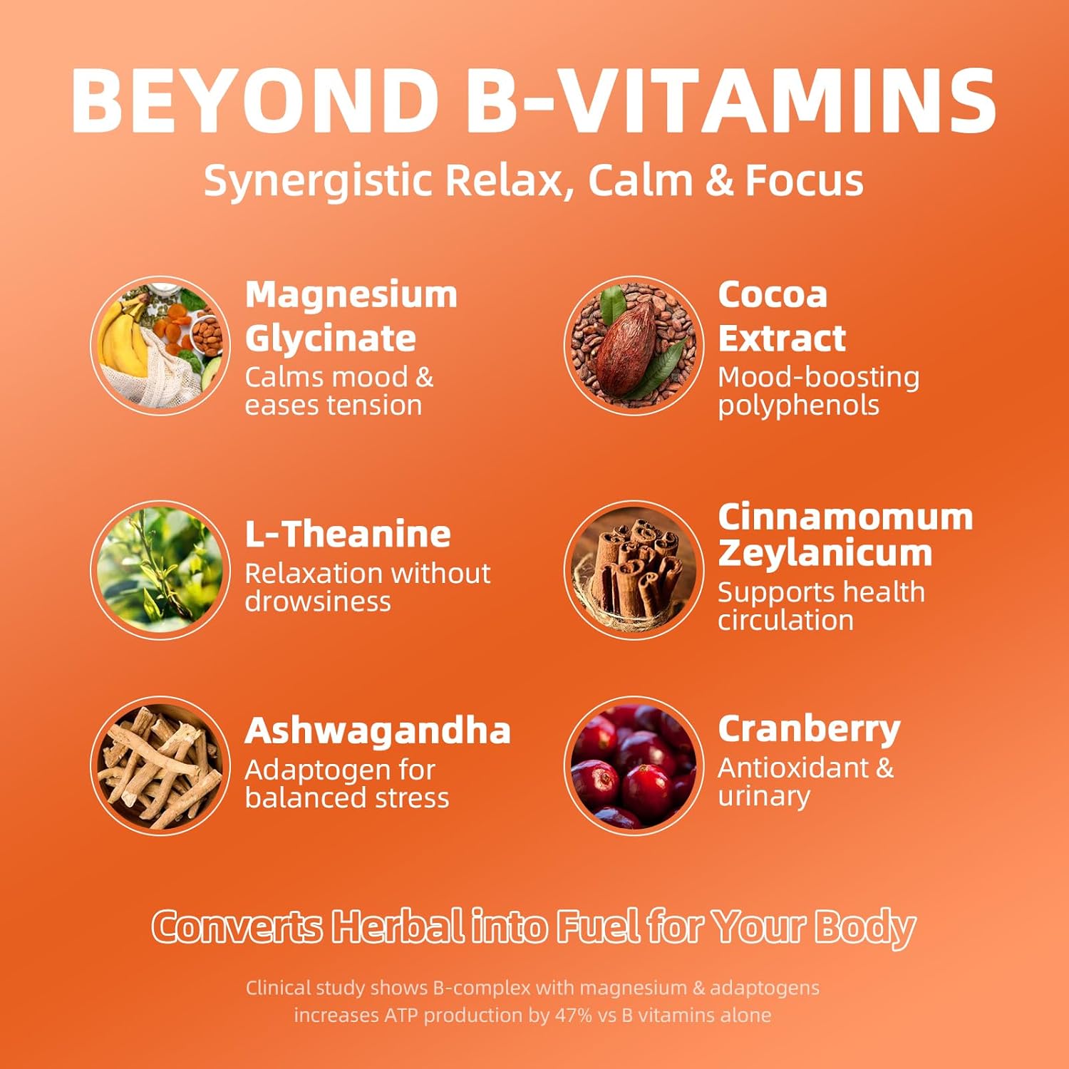 Super B Complex Liquid | B12 Methylcobalamin + Methyl Folate | B Vitamins Complex Liquid Drops with B3,B5,B6,B7, Ashwagandha & L-Theanine for Energy, Focus & Immunity, Vegan, 2fl Oz