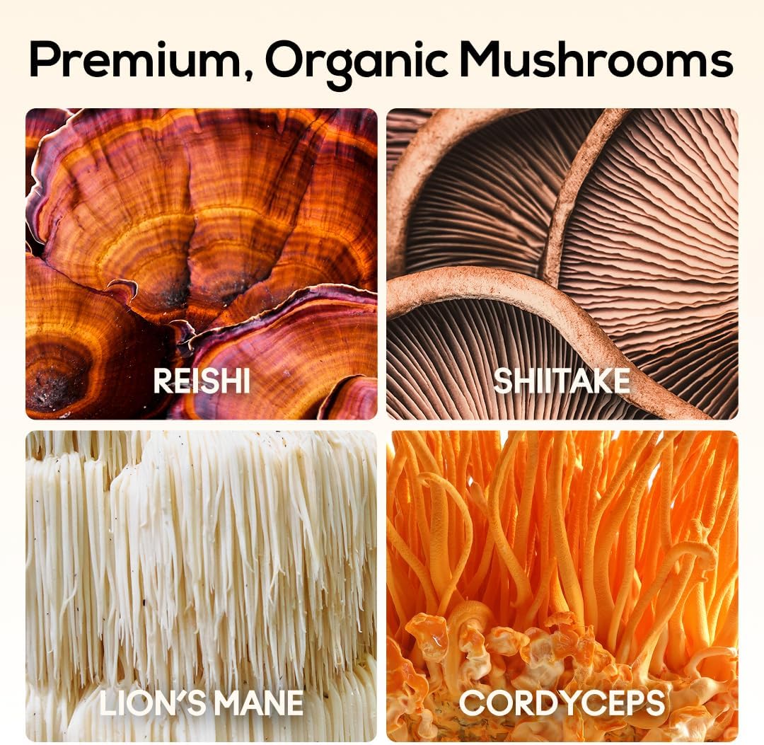 TrueMushroom - Immunity, Focus & Memory, Energy Mushroom Gummies with Lion’s Mane, Cordyceps, Reishi, Shiitake All-Natural Supplement with Ginger & Turmeric. Ginger Mango Flavor (60 Count)