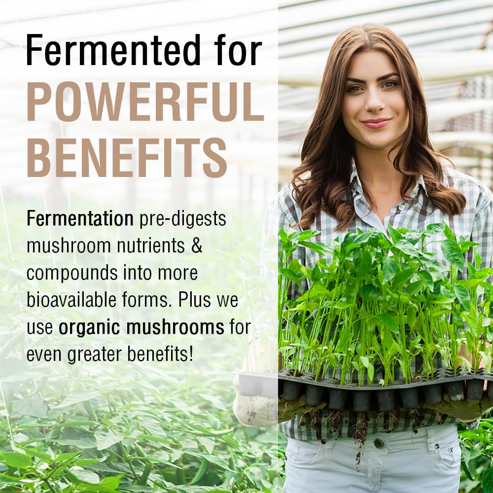SOLARAY Fermented Chaga Mushroom 1000 mg | Healthy Immune Function Support | 30 Servings | 60 VegCaps