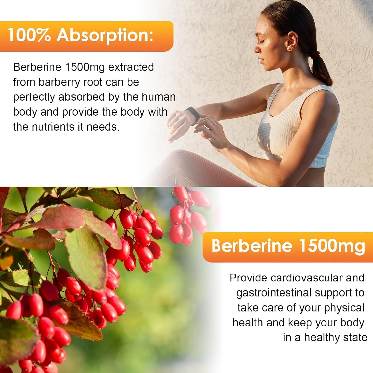 (2 Pack) Berberine Supplement, Berberine Liquid Drops with Ceylon Cinnamon, Bitter Melon, Sugar-Free & Vegan Supplement Supports Immune System & Gastrointestinal Care - 4 FL Oz