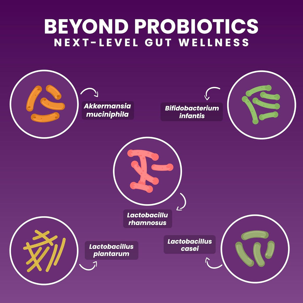 Chewable Akkermansia Probiotic and Prebiotic Supplement NOVO 2.0 with HMO, Supports Gut and Oral Microbiome, Supplements for Digestive Health and Skin Vitality, Targeted Delivery, 30 Tablets