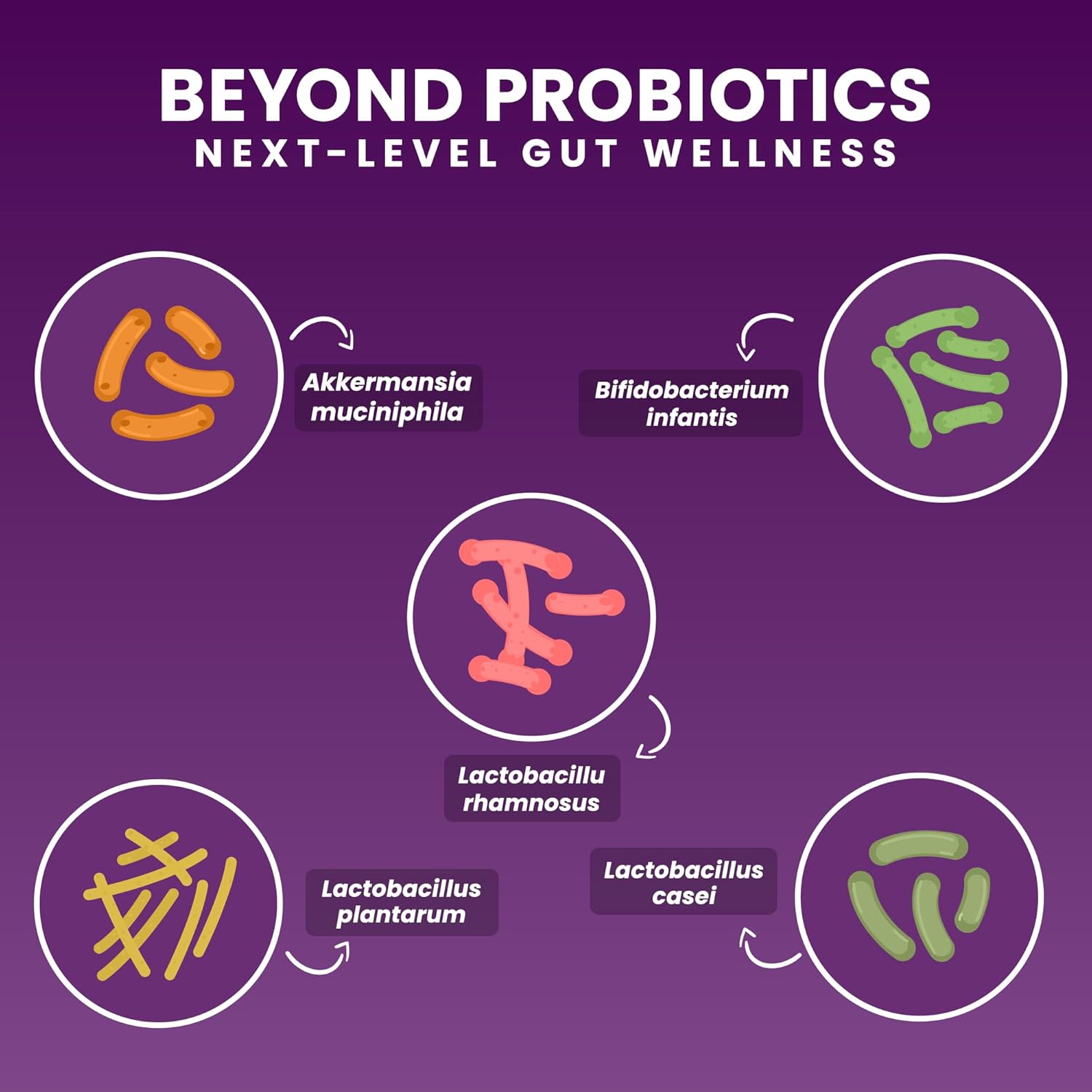Chewable Akkermansia Probiotic and Prebiotic Supplement NOVO 2.0 with HMO, Supports Gut and Oral Microbiome, Supplements for Digestive Health and Skin Vitality, Targeted Delivery, 30 Tablets