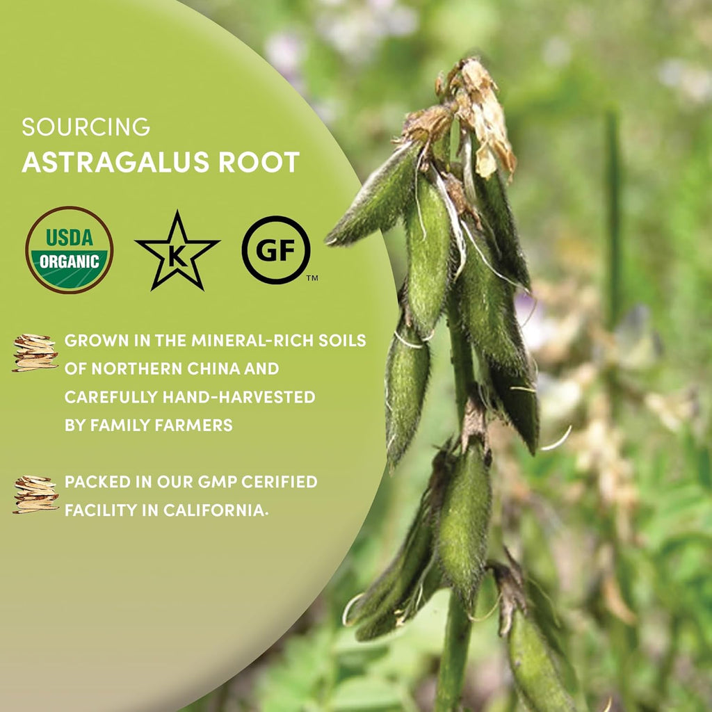 Worldwide Botanicals Organic Astragalus Root – 8 Oz – 100% Astragalus membranaceus - Cut & Sift – Huang Qi Used in Traditional Chinese Medicine to Strengthen and Protect