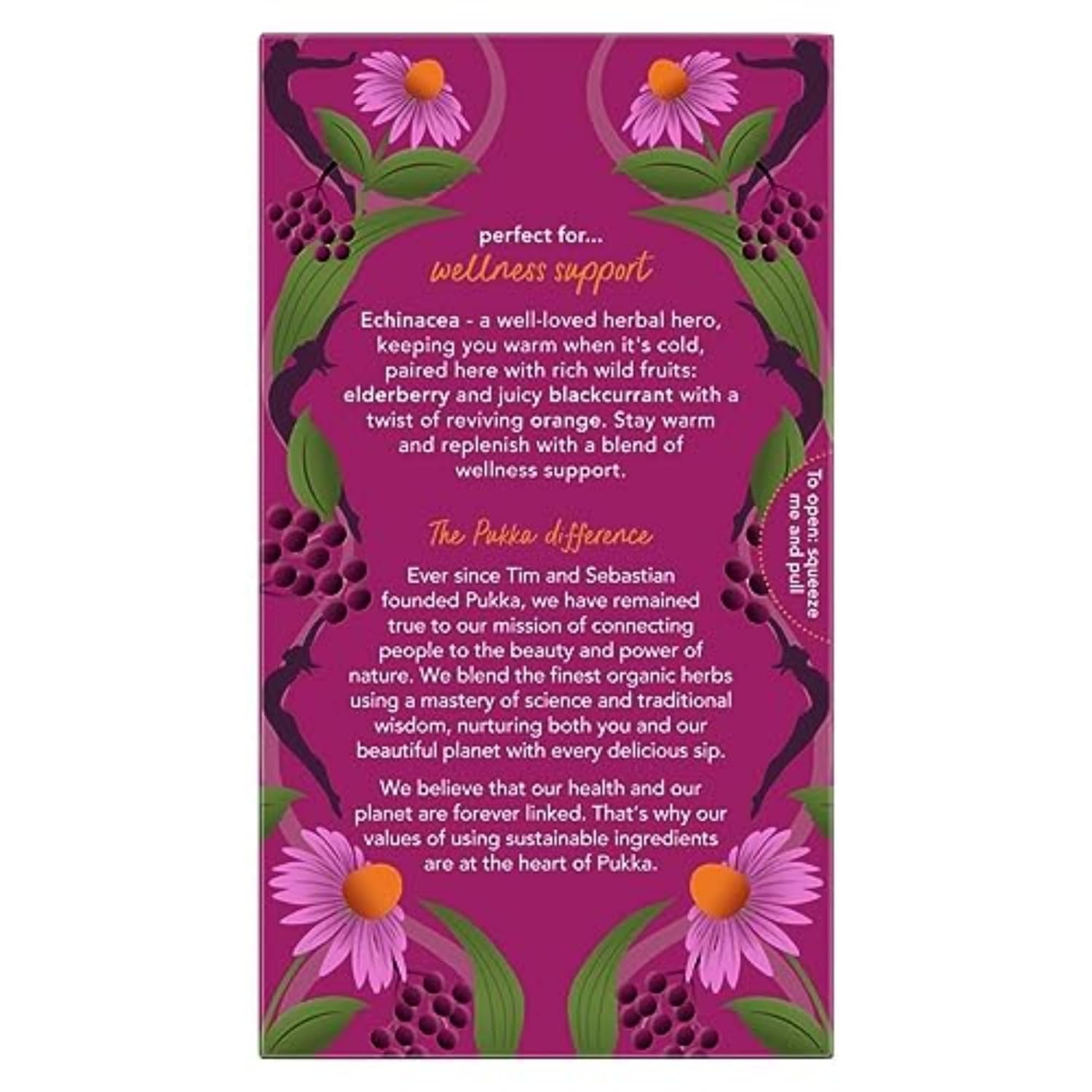 Pukka Elderberry & Echinacea Organic Herbal Tea, Perfect for Wellness Support, Caffeine Free, 80 Total Tea Bags (20ct - Pack of 4)
