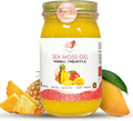 Healthy Herbs Sea Moss Gel (Sweet Mango Pineapple) Wildcrafted From Jamaican St Lucia Gold Seamoss | Wild-Harvested Superfood Rich In Essential Vitamins & Minerals | Vegan, Non-GMO, US-Made (16 oz.)