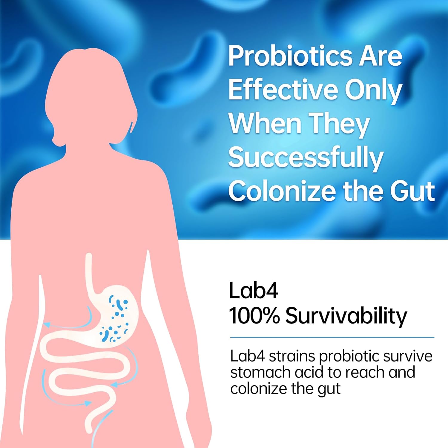 Probiotics for Digestive, Gut & Immune Health - Clinical Proven Group Support IBS Diarrhea, Gas, Bloating - Daily Probiotic Supplement for Women Men, 20 Billion CFU, Vegan, 2 Months Supply