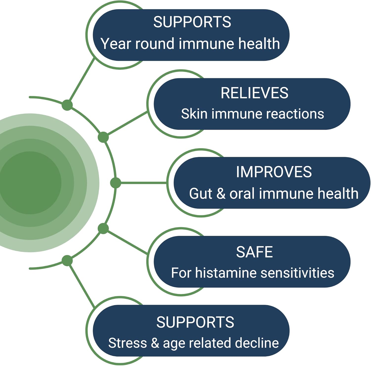 HoloImmune | Paraprobiotic with Immuse Immune Support | 30 Servings
