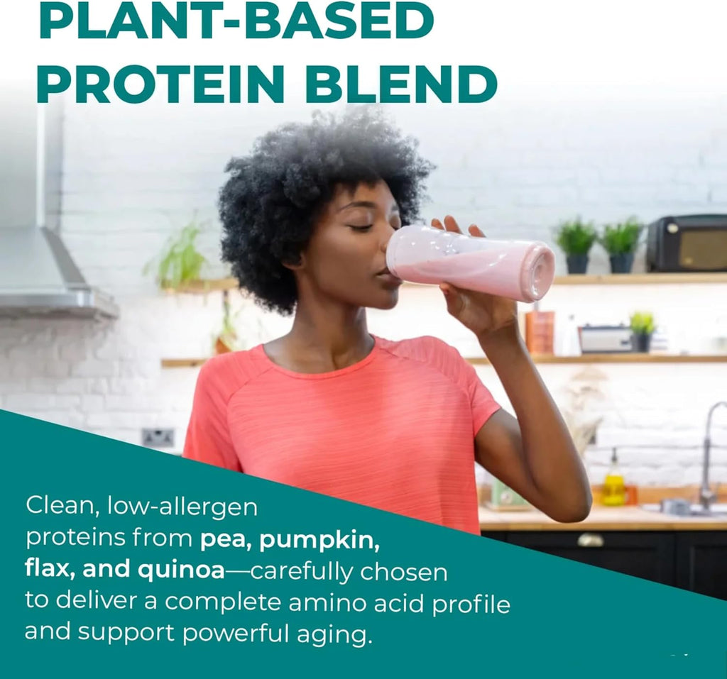 Reignite Wellness by JJ Virgin | Chocolate Plant-Based All-in-One Shake | Plant Protein Powder, Vitamins, Minerals, Greens & Aminos | 22g of Plant Protein | 30 Servings