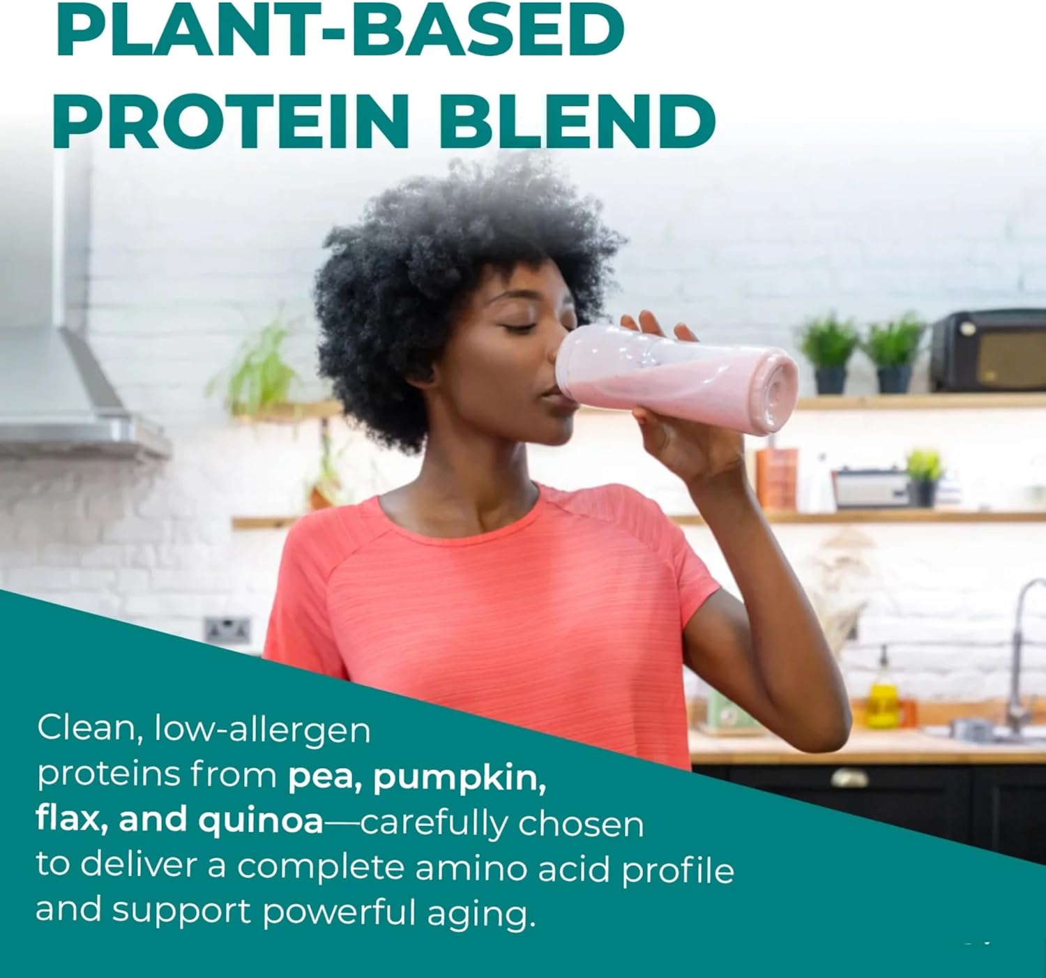 Reignite Wellness by JJ Virgin | Chocolate Plant-Based All-in-One Shake | Plant Protein Powder, Vitamins, Minerals, Greens & Aminos | 22g of Plant Protein | 30 Servings