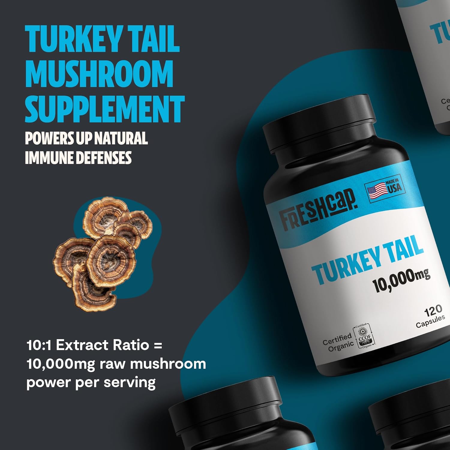 FreshCap Mushrooms Turkey Tail Mushroom Supplement 10,000mg – Organic, Turkey Tail Extract for Immune Support Supplement, Mushroom Supplement Capsules, Ayurveda Immunity Supplement (120 Capsules)