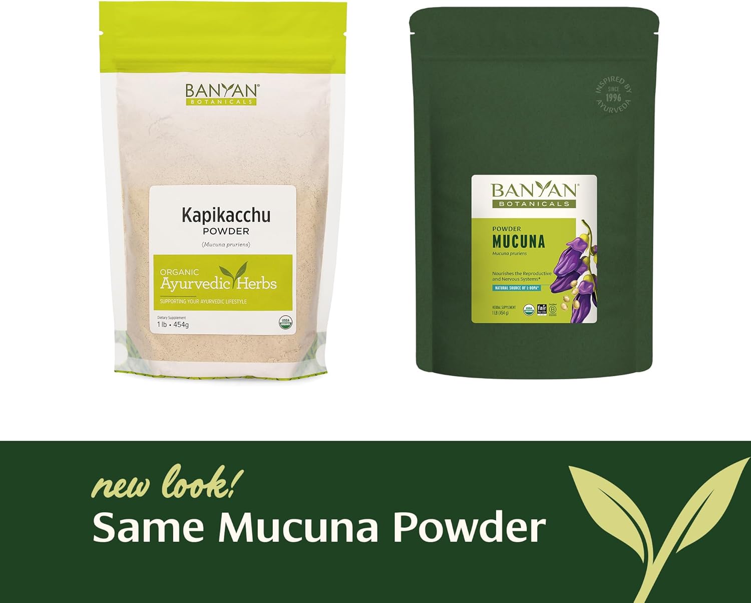Banyan Botanicals Kapikacchu Powder, 1 Pound - USDA Organic - Mucuna pruriens - Natural Source of L-dopa*