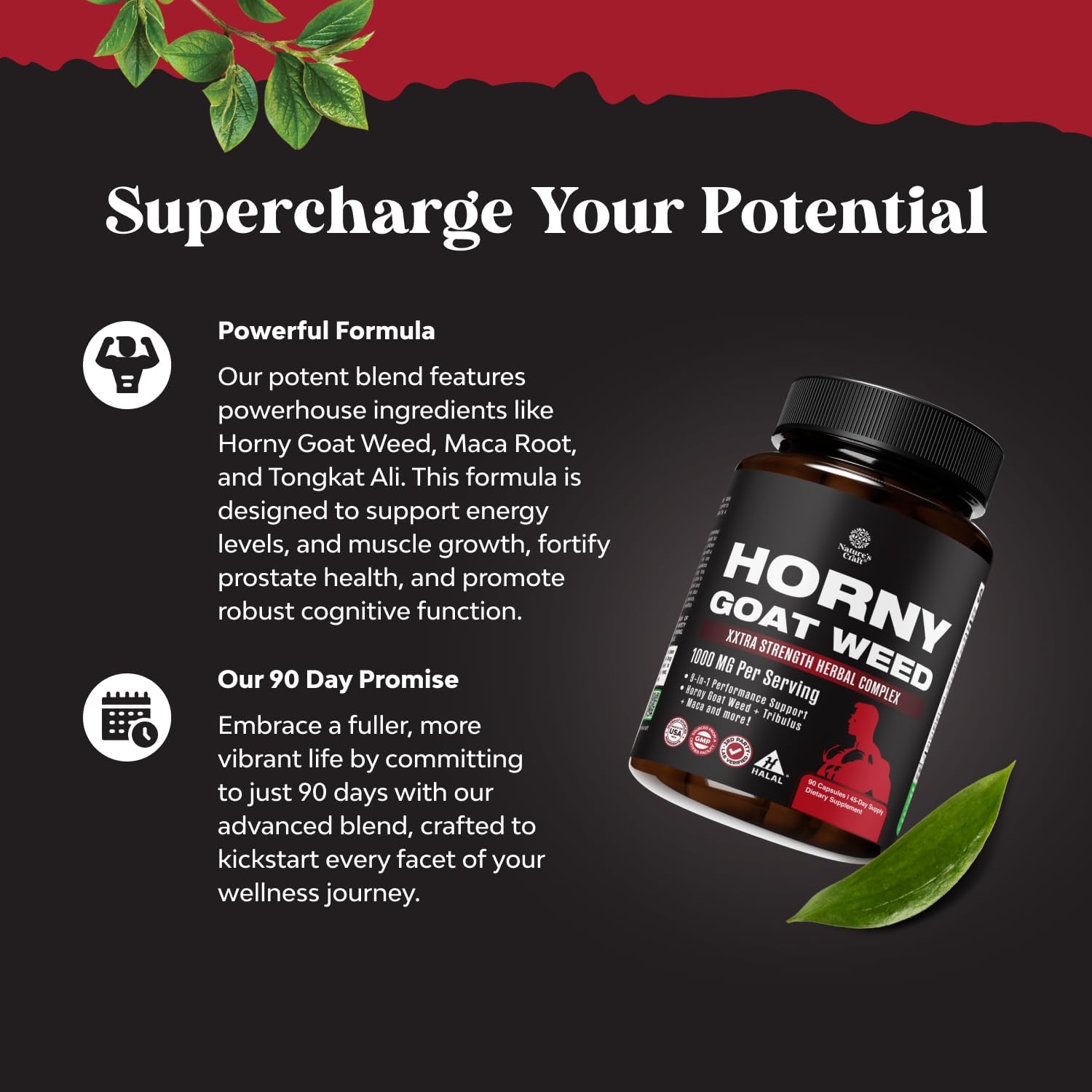 Natures Craft Horny Goat Weed for Men - Extra Strength Male Supplement with Black Maca Root, Tongkat Ali, Saw Palmetto & Panax Ginseng Extract for Stamina & Energy - 90 Capsules