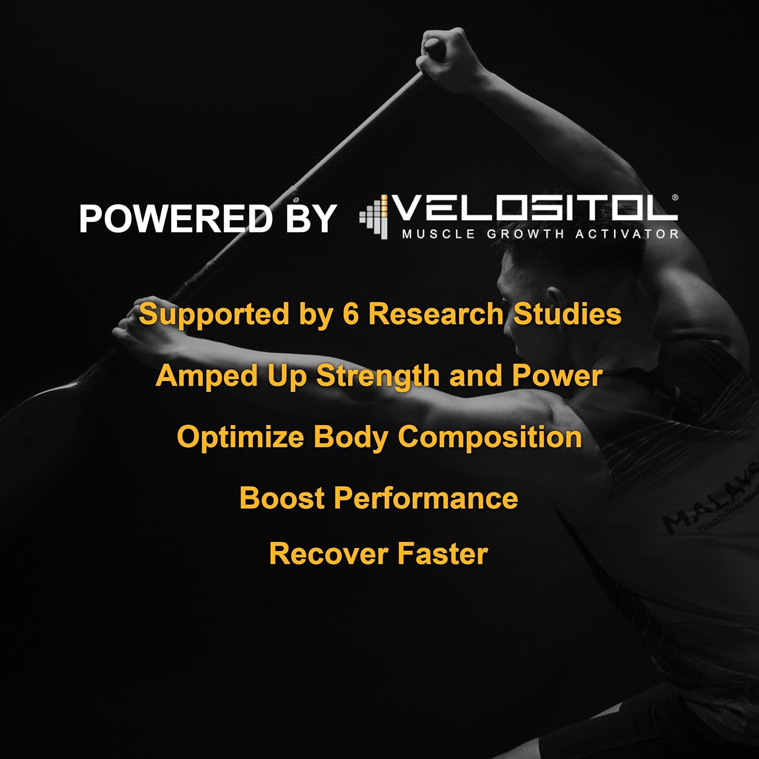 Vegan Sport Protein Powder Vanilla – 30g Plant Based Protein, VELOSITOL, BCAAs, Organic Greens & Fruits, Probiotics, Tart Cherry for Post Workout Recovery, Inform Sports Certified Keto - 20 servings