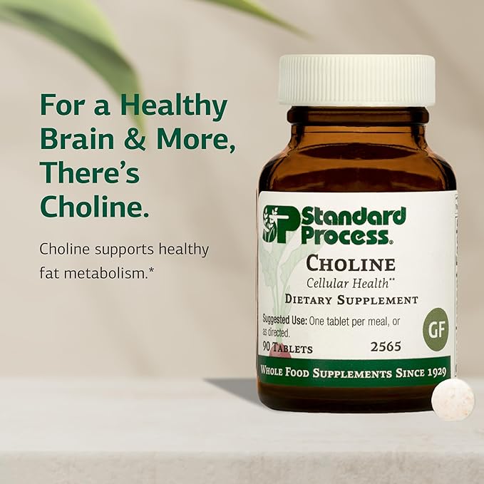Standard Process Choline - Supports Healthy Fat Metabolism, Liver Health & Nervous System Function - Gluten-Free, Non-Dairy & Vegetarian -180 mg, 90 Tablets