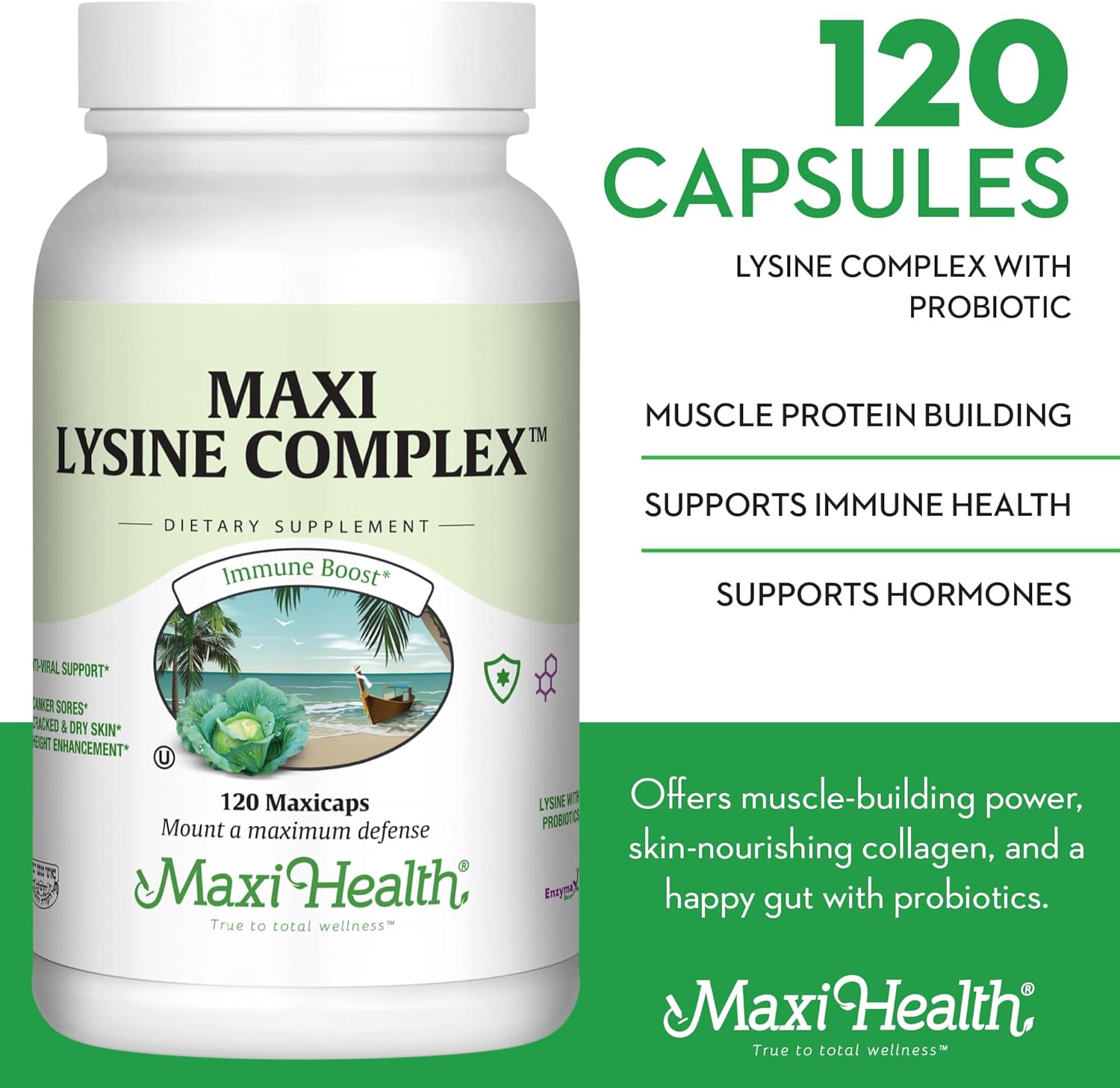 Maxi Health Lysine Complex with Probiotics - L-Lysine 1000mg for Protein Synthesis Canker Sores, and Skin – 60 Capsules