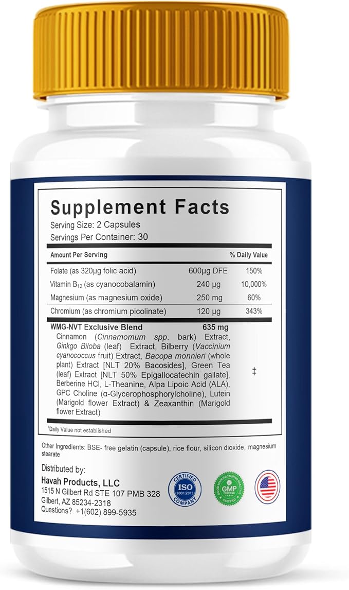 BLUE VIBE Iron Vision Advanced Eye Health Supplement, IronVision Max Strength Overall Vision & Wellness Supplement, Iron Vision Advanced Vision Support and Eye Health Pills (1 Pack - 60 Capsules)
