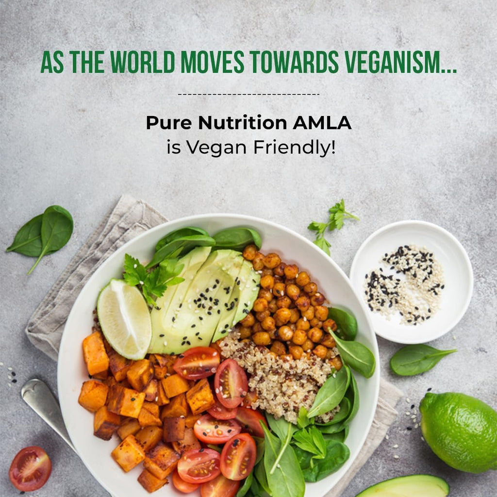 Pure Nutrition Amla Extract 1000mg. (Equivalent to 8000mg Amla Fruit Powder) Non GMO | 120 Veg Caps.