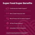 WellPath Beet Root Gummies (Sugar Free - Blueberry Flavor) 1500 mg | Beet Gummies for Blood Pressure Support | Super Nitric Oxide Gummies | Tasty Beets Chews | Antioxidants | 60 Ct