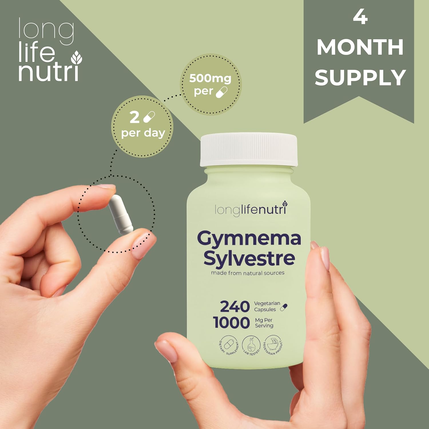 Gymnema Sylvestre 1000mg - Organic 20:1 Leaf Extract, 240 Vegetarian Capsules, 4-Month Supply, Herbal Supplement for Gut Health, GMP Certified, Made in USA
