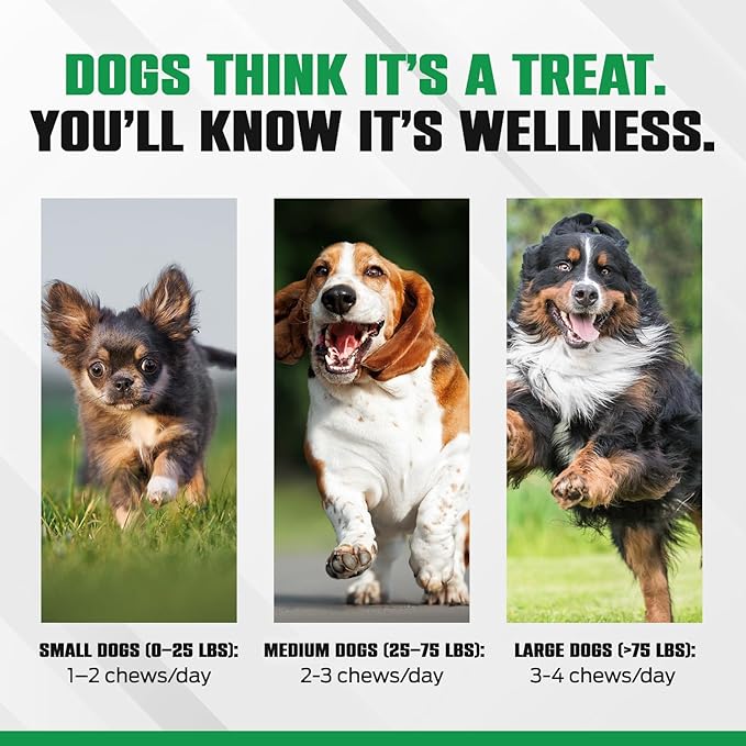 K10 Probiotic Chews for Dogs (60ct) – Advanced Digestive Support with Probiotics, Prebiotics & Superfoods – Vet-Preferred Dog Supplement for Digestion, Immunity, Skin, Coat & Everyday Vitality