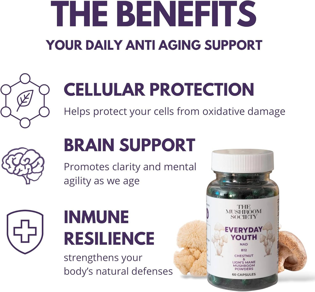 Everyday Youth - Anti-Aging Supplement - Brain & Cellular Energy Formula – Lion’s Mane, Chestnut, NAD, B12 + Beta-Glucans - 60 Vegan Capsules