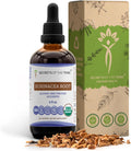 Echinacea Root USDA Organic Tincture | Alcohol-Free Extract, High-Potency Herbal Drops, Immune System Health | Made from 100% Certified Organic Echinacea Root (Echinacea Purpurea) 4 oz
